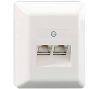 Rutenbeck UAE 2x8(8) Ap rw Prise réseau montage apparent (en saillie) insert avec plaque centrale et châssis CAT 3 blanc pur