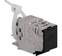 Rutenbeck UM-Cat.6A iso 25/10G Module RJ45 encastrable