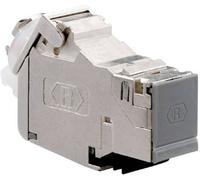 Rutenbeck UM-Cat.6A iso A Couplage modulaire Keystone CAT 6a 2 pc(s)
