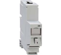 Rutenbeck UM-Cat.6A iso-REG Adaptateur de montage REG UM-Cat.6A iso A iso-REG 13910200 1 pc(s)