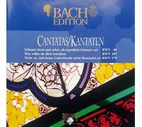 Ruth Holton - Bach Edition: Cantatas BWV 46, 107, 179 / Leusink