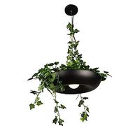 RuuXanthous Suspension de Pot de Fleur de Style Nordique, personnalité créative, café, Bar, Pot de Plante, Suspension, îlot de Cuisine, Restaurant, café, Lustre E27, Magasin de vêtements, pla