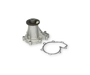 RUVILLE 561260 Pompe à eau