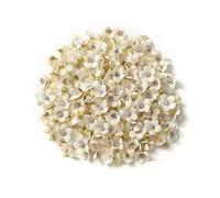 RUWLFE 49Pcs Mini Silk Artificial Flowers Tiny Blossoms Daisy Head for Home Decor Wedding Decoration DIY Garland Gift pour Accueil(Color19)