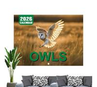 Ruwshuuk Calendrier Mensuel 2026 | Calendrier Mural Douze Mois,Illustrations Hiboux Organisation Temps Planification Liste Tâches Rendez-vous Objectifs