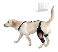 RUYICZB Attelle pour Pattes Arrière De Chien, Genouillère pour Chien pour Déchirure du LCA, Patte Arrière avec Stabilisateur Latéral, Attelle pour Chien, Support pour Luxation De Rotule,M