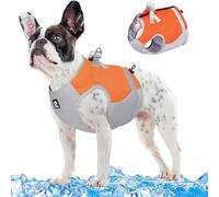 RUYICZB Gilet Réfrigérant pour Chien, Gilet Harnais Respirant Maille Chien, Veste D'été Cool Et Confortable avec Anneau en D Réglable Respirant pour Chien Activités Extérieures,Orange,XL