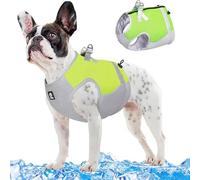 RUYICZB Gilet Réfrigérant pour Chien, Gilet Harnais Respirant Maille Chien, Veste D'été Cool Et Confortable avec Anneau en D Réglable Respirant pour Chien Activités Extérieures,Vert,M