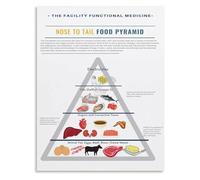 RVBLRDSE Carnivore Diet Food Guide Pyramid Poster Healthy Eating Nutritional Chart for Home Kitchen Gym Wall Health Class Resource(Unframed,16x24inch(40x60cm))