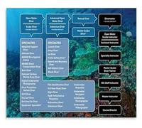 RVBLRDSE Deep Sea Diving Types and Tips Educational Canvas Print for Home Study Room and Dive Center Wall(Framed,08x12inch(20x30cm))