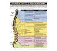 RVBLRDSE The Backbone of Health Anatomy Poster - Visual Guide to Spine Structure & Nervous System, Laminated Chart for Massage School, Gym, or Study Room(Unframed,08x12inch(20x30cm))