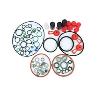 RVIFY Filtre à urée kit Kit de Joint de Pompe à Carburant d'injection Diesel Delhi DP200, Anneau en Caoutchouc de réparation 7135-277A Filtre à Solution d'urée