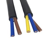 RVV PVC Multi Core Flexible Power Cable 2/3/4/5 Cores 0.75-6.0mm² 10 Meters Pure Copper Wire(2 cores,15AWG 1.5mm2)