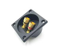 RWAJZAX Bornes pour haut-parleur, caisson de basses, enceintes, terminaux de liaison