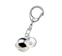 RWAJZAX Colliers monuments pour animaux de compagnie avec impression de pattes de crémation gravable Bijoux Pendentif pour chiens chats Personnalisé Gravure Personnalité Animal de compagnie Urne