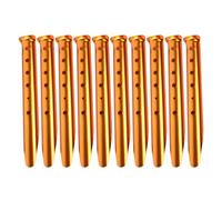 RWAJZAX Lot de 10 piquets de tente inamovibles et inflexibles pour auvent - Pour un ancrage sûr dans les environnements de camping et de randonnée - Multi-usages