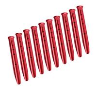 RWAJZAX Lot de 10 piquets de tente inamovibles et rigides pour auvent - Clous pour un ancrage sûr dans les environnements de camping et de randonnée - Multi-usages