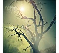 Rwake – Rest – LP (MINT et SWAMP GREEN MERGE/SPLATTER)