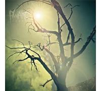 Rwake Rest (MINT & SWAMP GREEN MERGE/SPLATTER LP) (Vinyl)