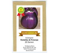 RWS Aubergine - aubergines - Violetta di Firenze - 20 graines