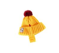 Rxgiasup Bonnet d'hiver pour chien avec trous d'oreille - Balle douce et chaude - Coupe-vent - Chapeau d'hiver pour chien