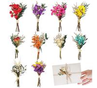 RXKFIGX 10 PCS Bouquets Fleurs Séchées, Mini Fleurs SéChéEs Deco,Mélange de Fleurs Séchées Naturelles,Convient pour Les Vases,L'Artisanat,Les Mariages, La DéCoration D'Accessoires Photo DIY