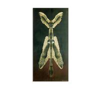 RXNHGJDS Remedios Varo poster Female spirit of the night célèbre Impression sur Toile tableau pour salon abstrait Reproduction de peintures à l'huile140x70cm(56x28in) Avec cadre