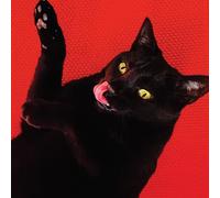 Ryan Adams – Big Colors – CD Digipack – Mascot