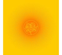 Ryan Adams Easy Tiger (Vinyl)