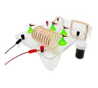 Ryanong Banc optique démonstrateur de champ magnétique physique, équipement d'électricité, instrument d'enseignement, équipement expérimental optique
