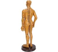 Ryanong Modèle d'acupuncture humaine chinoise, point de pression mâle de 50 cm et modèle méridien pour l'enseignement de la médecine chinoise, l'acupuncture et le massage.