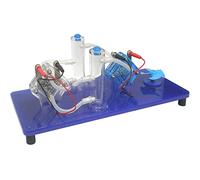 Ryanong Modèle d'expérience de chimie démonstrateur de pile à combustible à hydrogène - Eau électrolytique pour produire de l'oxygène, des équipements scientifiques et éducatifs