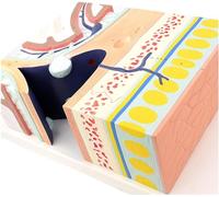 Ryanong Modèle grossissant anatomique de niveau de base crânien, structure à cinq couches du cuir chevelu sinus dural, anatomie écologique, modèle de grossissement de niveau crête crânienne pour aides