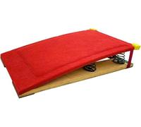 Ryanong Planche à ressorts de gymnastique pour enfants - Tapis épais, taille junior, supporte jusqu'à 65 kg, parfait pour les gymnases et les salles de jeux