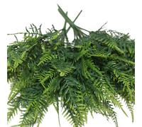 RYcoexs 35 Feuilles émulation Artificielle Asperges fougère buisson Vert décor de fête Feuillage