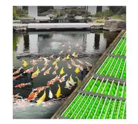 Rygcrud Lot de 50 Brosses Filtrantes pour Bassin À Poissons pour Bassin À Koïs Aquarium Jardin Aquatique Nettoyage Et Filtration des Écumeurs(40cm)