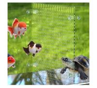 Rygcrud Séparateurs D'aquarium en Acrylique avec Ventouses, Transparents Séparateur D'aquarium pour Les Combats pour Diviser l'espace, Panneau De 5 Mm D'épaisseur(62x65cm)