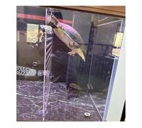 Rygcrud Séparateurs pour Aquarium, en Acrylique Séparateur pour Aquarium avec Ventouses Sécurité pour Alevins Et Crevettes Panneau De Séparation pour Poissons Agressifs(38x70cm)