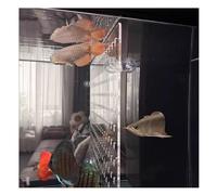 Rygcrud Séparateurs pour Aquariums, Épaisseur 5mm Panneau en Acrylique avec Ventouses, Plaque De Séparation Transparente Cache pour Séparateur Destiné Aux Combats, pour Diviser l'espace(37x70cm)