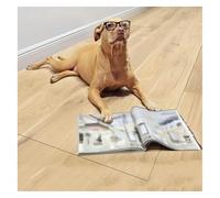 Rygcrud Tapis De Sol en Vinyle Transparent - Protections pour Parquet De 2 Mm D'épaisseur, Tapis pour Chaises De Bureau/d'entrée, pour La Chambre À Coucher, Le Salon(91x305cm)