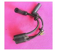 Rynplex Bobine d'allumage de moteur bateau, for Parsun, 4 temps F9. 9 F13. 5 F15 haute pression hors-bord F15-07000600 Bobine d'allumage