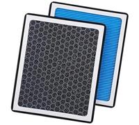 Rynplex Filtre d'habitacle au charbon actif Filtre d'habitacle à charbon actif, pour élément de climatisation voiture pour Byd Atto 3 Yuan Plus 2021 - 2024(BLACK 2pcs)