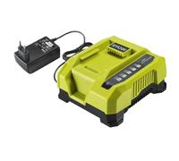 Ryobi Chargeur rapide RY36C60A 36 V Lithium 6,0 Ah