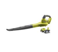 Souffleur à feuilles One+ 18V Li-Ion 4.0Ah 245 km/h RBL1820S40F Ryobi G