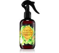 RYOR Hair Care spray à la kératine pour cheveux 250 ml