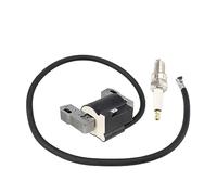 RYTIME 398811 Bobine d'allumage à semi-conducteurs Compatible avec les moteurs Briggs and Stratton 298968 398265 395326 395492 293366 7HP-16HP Horizontal Vertical Monocylindre