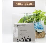 RYUICHI SAKAMOTO JOUANT DU PIANO 12122020 JAPAN CD +Track Ryuichi Sakamoto neuf