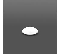 RZB Kuppel D370,H108,d236,verp. 05-211059.002 Verre de rechange