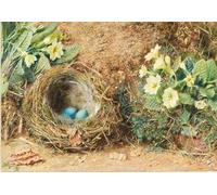 RZHRHJES Abstrait Image sur Toile Graffiti Art Mural Peinture sur Toile Nordique Nid d'oiseau avec trois œufs et primevères par William Henry Hunt Affiches d'Art Pour la Décoration Murale 60x90cm