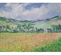 RZHRHJES Vintage Impressions sur Toile Abstrait Tableau Peinture sur Toile Portrait le champ de coquelicots près de Giverny par Claude Monet Impression Tableaux Pour la Décoration Murale 60x90cm